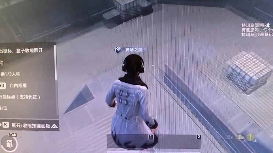 和平精英团战辅助怎么玩（和平精英团战怎么玩）